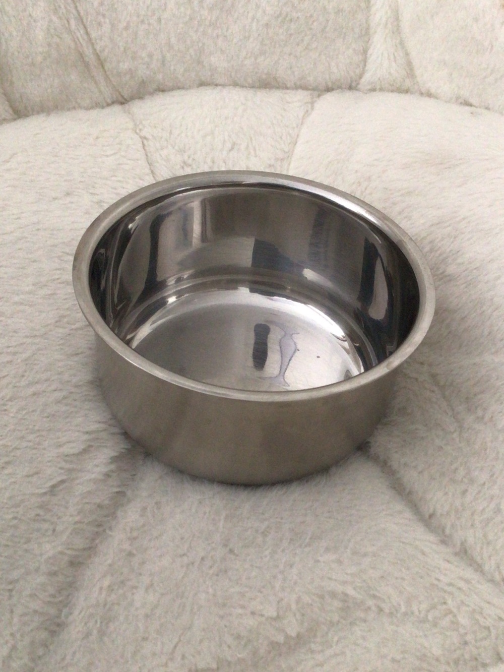 Stainless Steel Pet Bowl - Silver
